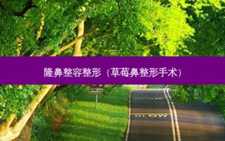 隆鼻整容整形（草莓鼻整形手术）
