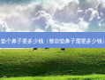 垫个鼻子要多少钱（整容垫鼻子需要多少钱）