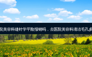 去医院美容科缝针学平险报销吗，去医院美容科清洁毛孔多少钱