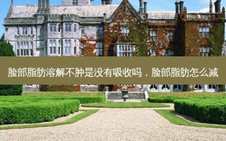 脸部脂肪溶解不肿是没有吸收吗，脸部脂肪怎么减