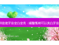 怎样能使牙齿变白变亮（碳酸氢钠可以美白牙齿吗）