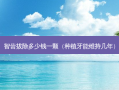 智齿拔除多少钱一颗（种植牙能维持几年）
