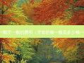 种一颗牙一般的费用（牙套价格一般是多少钱一个）
