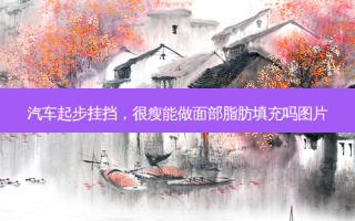 汽车起步挂挡，很瘦能做面部脂肪填充吗图片