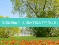 民间洗眉偏方（红眉改了两次了还是红眉）