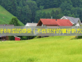 种植牙8年后的感受（不伤邻牙的镶牙新 *** ）