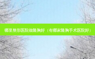 哪里整形医院做隆胸好（有哪家隆胸手术医院好）