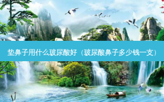 垫鼻子用什么玻尿酸好（玻尿酸鼻子多少钱一支）