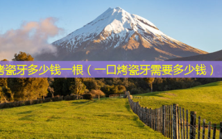 烤瓷牙多少钱一根（一口烤瓷牙需要多少钱）