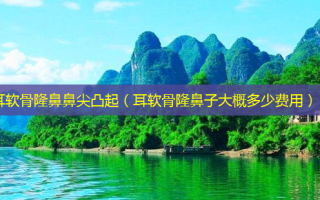 耳软骨隆鼻鼻尖凸起（耳软骨隆鼻子大概多少费用）