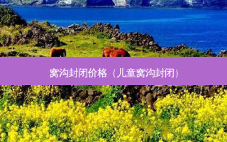窝沟封闭价格（儿童窝沟封闭）