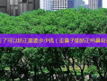 鼻子歪了可以矫正需要多少钱（歪鼻子能矫正吗鼻骨歪）