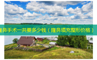 隆鼻手术一共要多少钱（隆鼻填充整形价格）