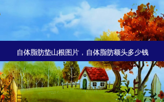 自体脂肪垫山根图片，自体脂肪额头多少钱