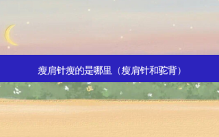 瘦肩针瘦的是哪里（瘦肩针和驼背）