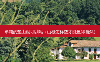 单纯的垫山根可以吗（山根怎样垫才能显得自然）