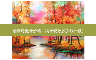 纳米烤瓷牙价格（纳米瓷牙多少钱一颗）