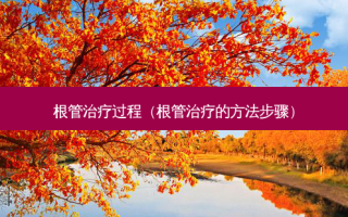 根管过程（根管的 *** 步骤）