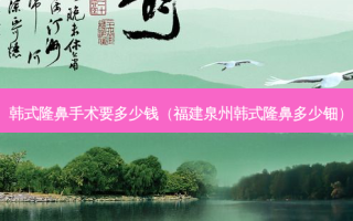 韩式隆鼻手术要多少钱（福建泉州韩式隆鼻多少钿）