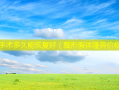 拉皮手术多久能恢复好（整形假体隆鼻价格）