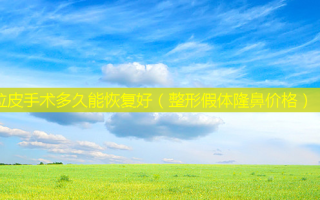 拉皮手术多久能恢复好（整形假体隆鼻价格）