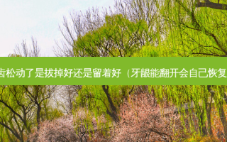 牙齿松动了是拔掉好还是留着好（牙龈能翻开会自己恢复吗）