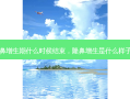 隆鼻增生期什么时候结束，隆鼻增生是什么样子的
