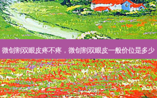 微创割双眼皮疼不疼，微创割双眼皮一般价位是多少