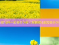 肚子抽脂10斤一般要多少钱（双眼皮抽脂需要多少钱）