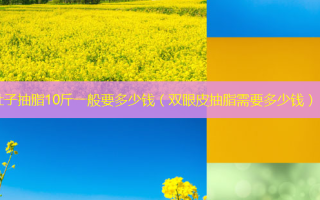 肚子抽脂10斤一般要多少钱（双眼皮抽脂需要多少钱）