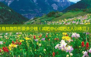 全身抽脂整形要多少钱（减肥中心减肥达人训练营）