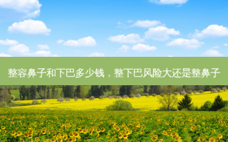 整容鼻子和下巴多少钱，整下巴风险大还是整鼻子