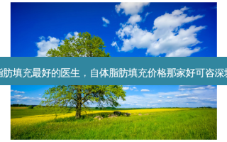 福州脂肪填充 *** 的医生，自体脂肪填充价格那家好可咨深圳美来