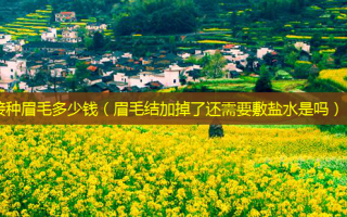 接种眉毛多少钱（眉毛结加掉了还需要敷盐水是吗）