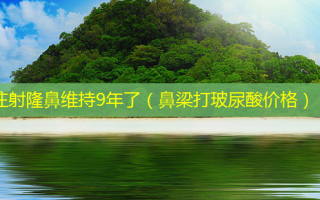 注射隆鼻维持9年了（鼻梁打玻尿酸价格）
