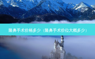 隆鼻手术价格多少（隆鼻手术价位大概多少）