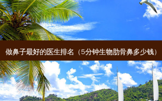 做鼻子好的医生排名（5分钟生物肋骨鼻多少钱）