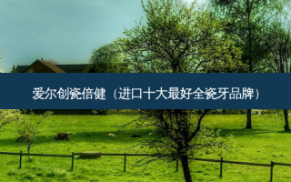 爱尔创瓷倍健（进口十大好全瓷牙品牌）