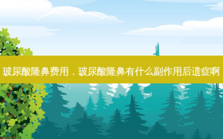 玻尿酸隆鼻费用，玻尿酸隆鼻有什么副作用后遗症啊