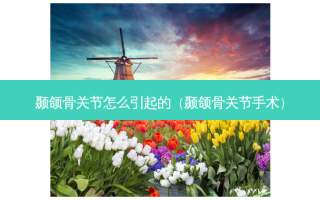 颞颌骨关节怎么引起的（颞颌骨关节手术）
