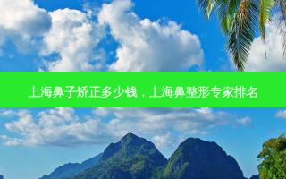 上海鼻子矫正多少钱，上海鼻整形专家排名