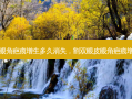 割双眼皮眼角疤痕增生多久消失，割双眼皮眼角疤痕增生怎么办