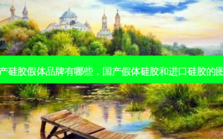 国产硅胶假体品牌有哪些，国产假体硅胶和进口硅胶的图片