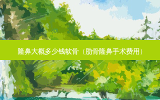 隆鼻大概多少钱软骨（肋骨隆鼻手术费用）