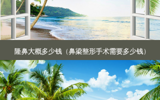 隆鼻大概多少钱（鼻梁整形手术需要多少钱）