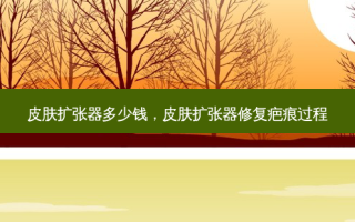 皮肤扩张器多少钱，皮肤扩张器修复疤痕过程