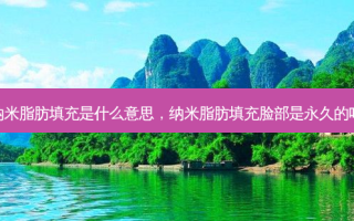 纳米脂肪填充是什么意思，纳米脂肪填充脸部是永久的吗