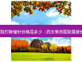 正规医院打除皱针价格是多少（西京整形医院新价格表）