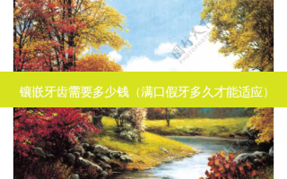 镶嵌牙齿需要多少钱（满口假牙多久才能适应）