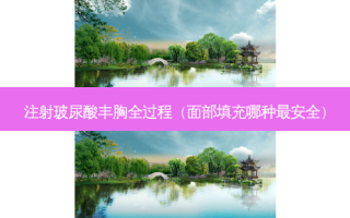 注射玻尿酸丰胸全过程（面部填充哪种 *** ）